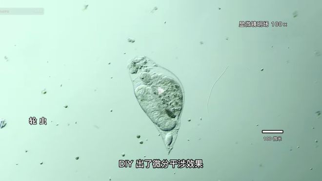 冲锋战警 推荐产品