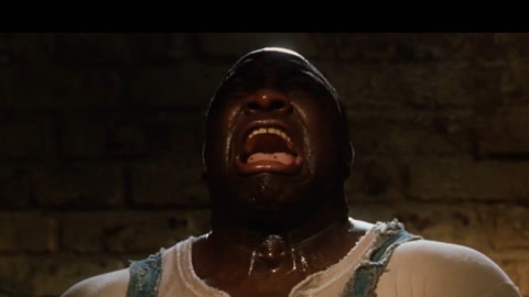 凋零在春天 相关产品