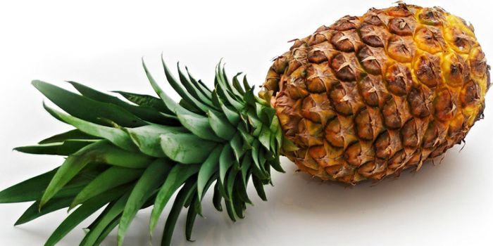 僧侣和枪 产品图片