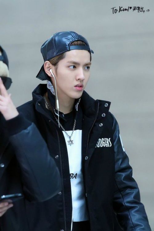 兄弟出头天 相关产品