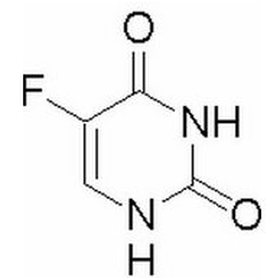冰川鲨鱼 相关产品
