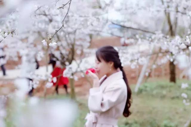 你爱我吗？ 产品图片