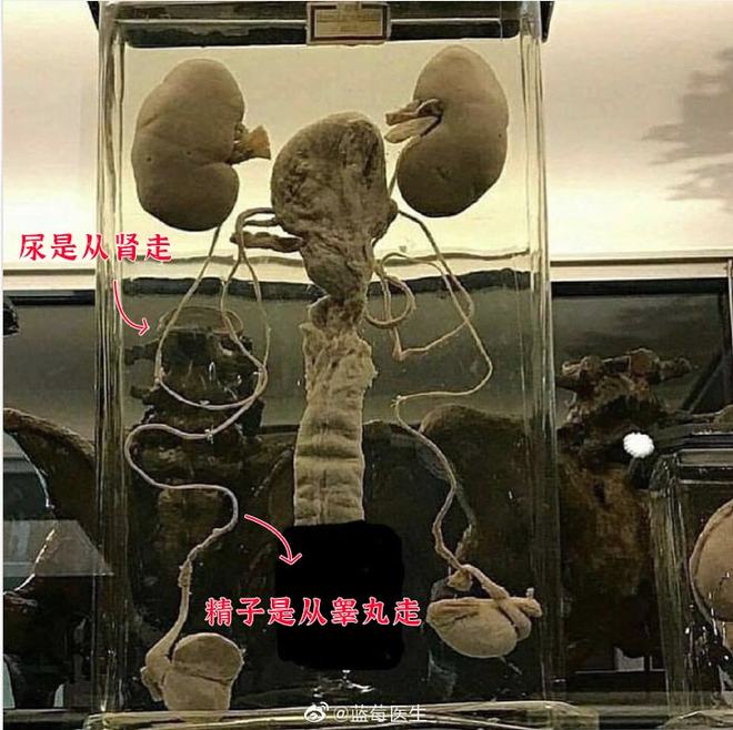 冬天没有童话 产品图片