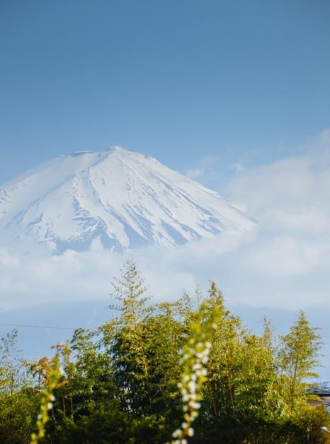 他跨越山海而来 推荐产品
