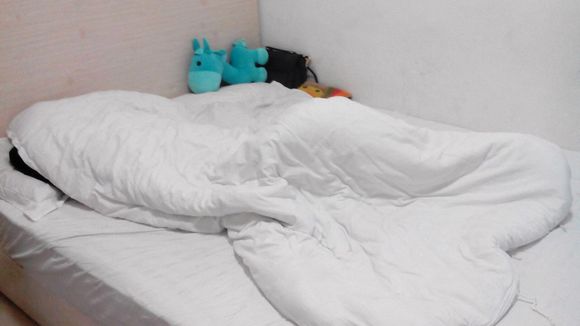 伤痛不会将我们拆散 相关产品