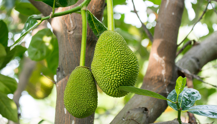 住在空中 相关产品