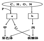 冰山上的来客 相关产品