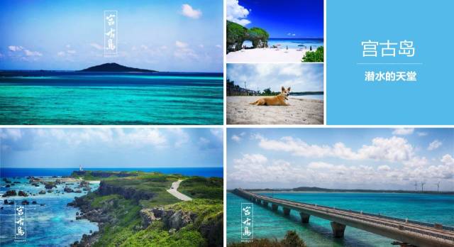 冰河的诅咒 相关产品