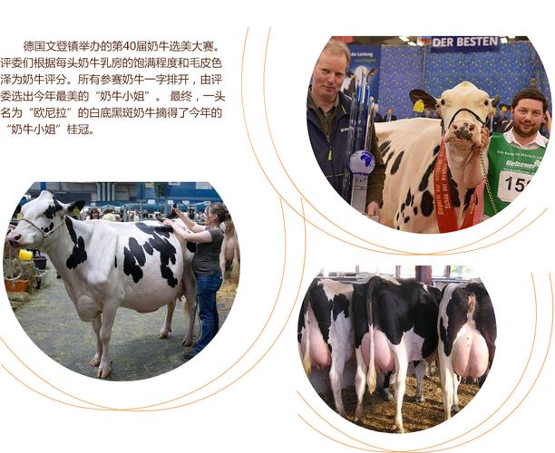 古墓丽影2 相关产品