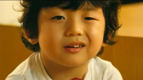 传承叶 相关产品