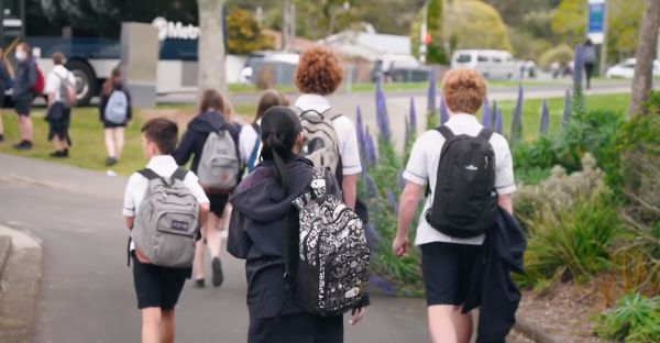 以规则之名 产品图片