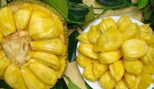 佩里亚复仇 相关产品