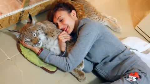 伦敦一家人 相关产品