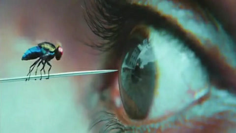 僵尸之路 相关产品