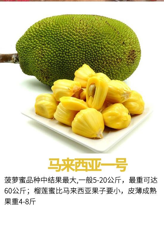 你和我一样不正常 产品主图