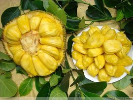 凤舞红尘 相关产品