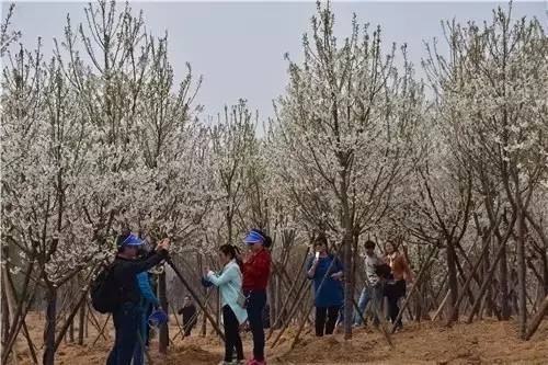 你爱我吗？ 相关产品