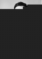 冰肤传说 产品图片