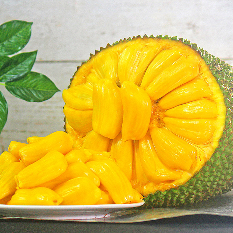 儿子老子 产品图片