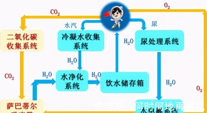 儿童捕手 产品主图