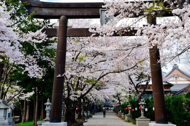 夏目友人帐：石起和可疑来访者 相关产品