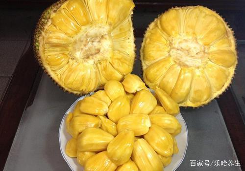 但丁密码（粤语版） 相关产品