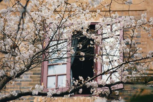 假面骑士 平成世代 终章 创骑与艾克赛德联手传奇骑士 产品图片