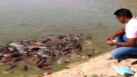 便利店 相关产品