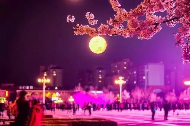 僵尸英雄之魔王与公主