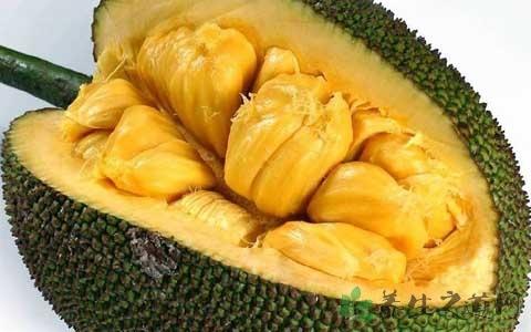 坏蛋必须死 产品图片