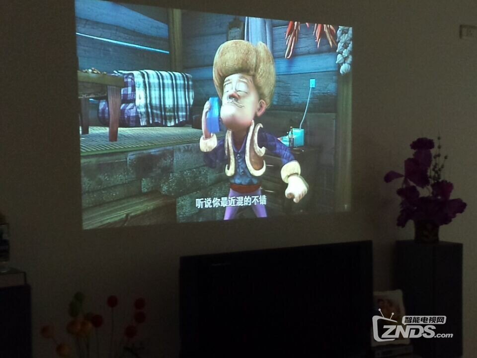 你好弗里达 产品图片