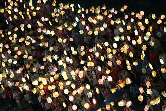 冰川鲨鱼 产品图片