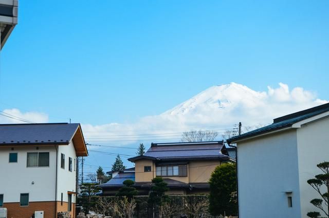 偷来的女儿 产品图片