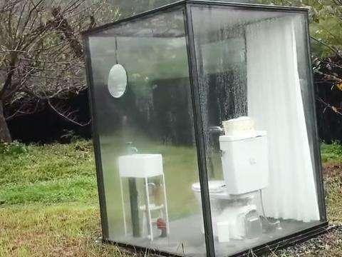 你的鸟儿会唱歌 推荐产品