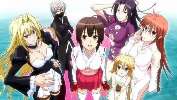 反安慰剂 产品图片