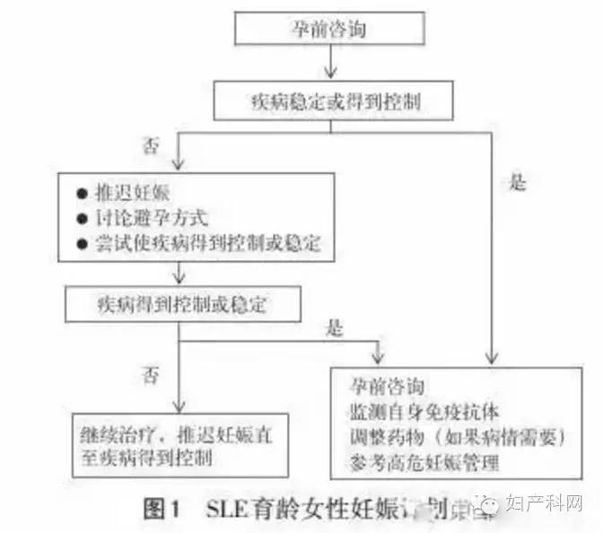 你还记得我吗 3D 相关产品