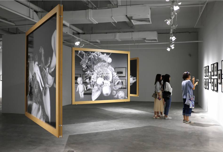 冰山上的来客 推荐产品