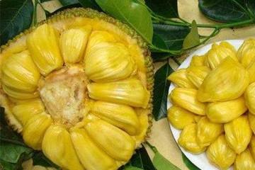 冰雪奇缘2 产品图片