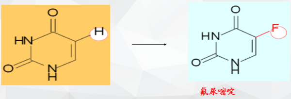 冰河的诅咒 产品图片