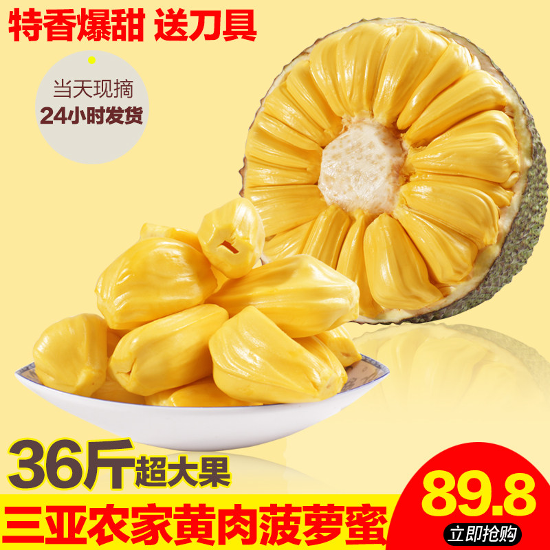 你们这些人 产品图片