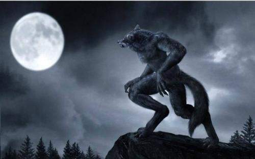 凯恩舰哗变的军事审判 相关产品