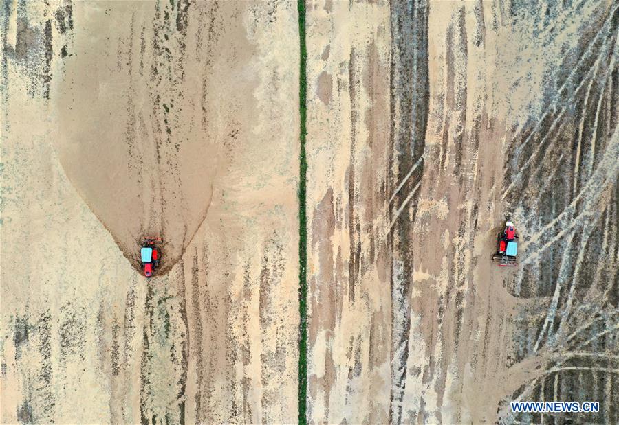 僵尸小姐 相关产品