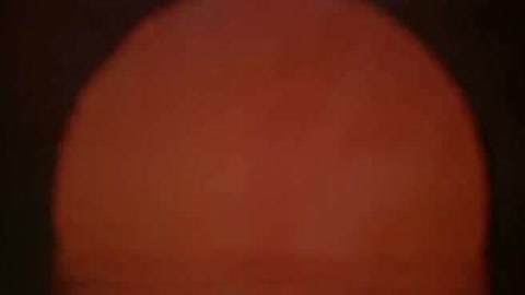 你得来看她 相关产品