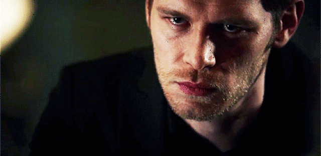 伯纳黛特你去了哪 相关产品