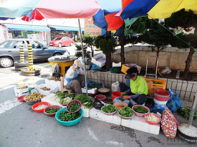 你的老鼠朋友 产品图片