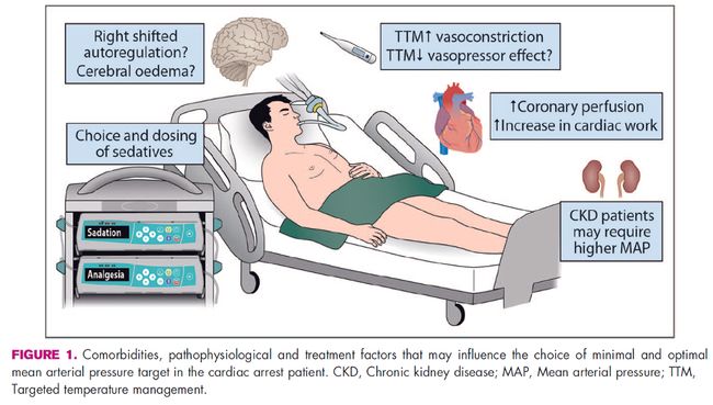 喷气机男孩 相关产品