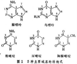 你永远比那些家伙年轻 产品图片
