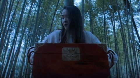 冰上轻驰 相关产品