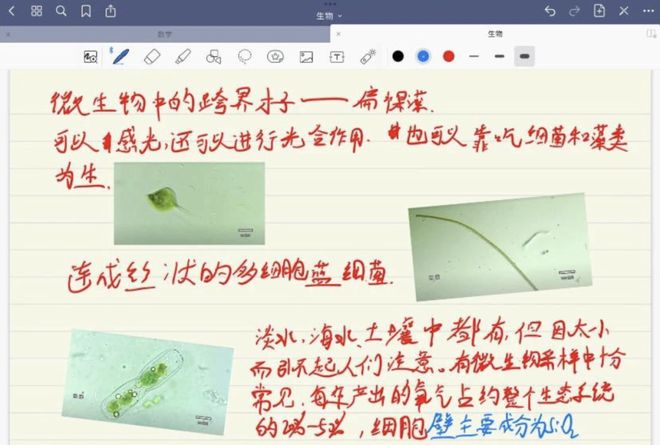 你的怪物 产品图片