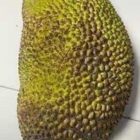 伦敦一家人 相关产品